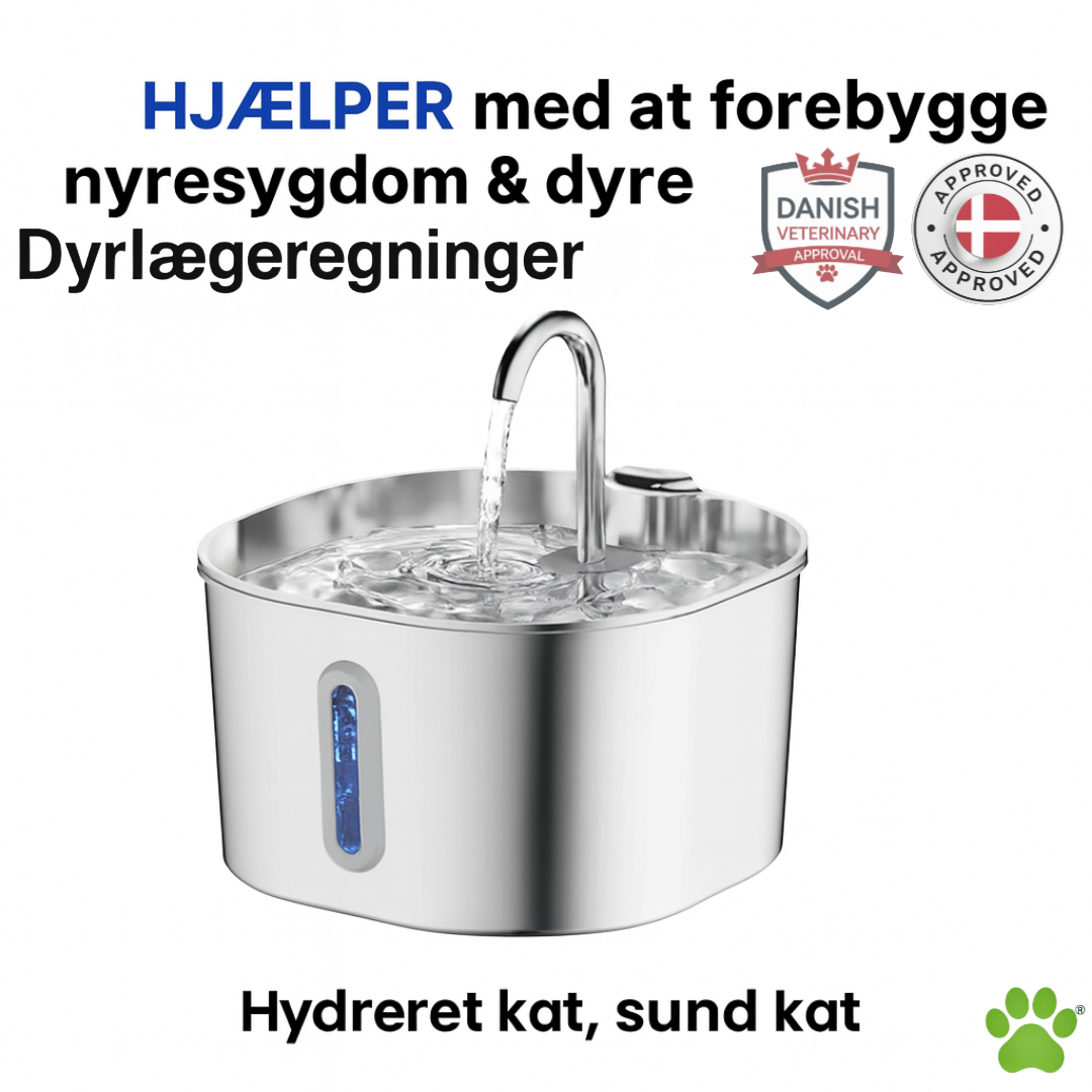 Poteify™ Drikkefontæne i rustfrit stål