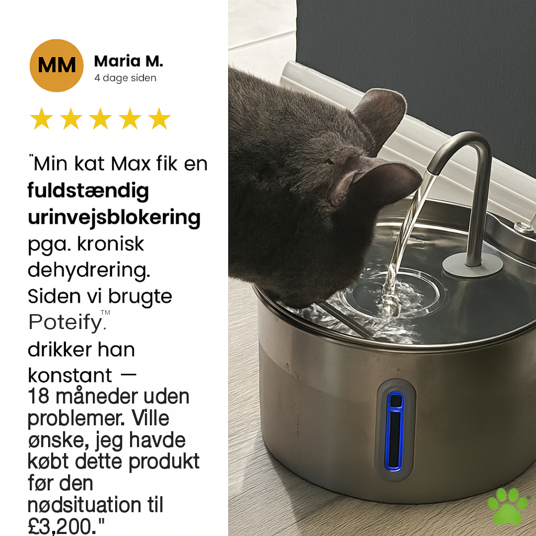 Poteify™ Drikkefontæne i rustfrit stål