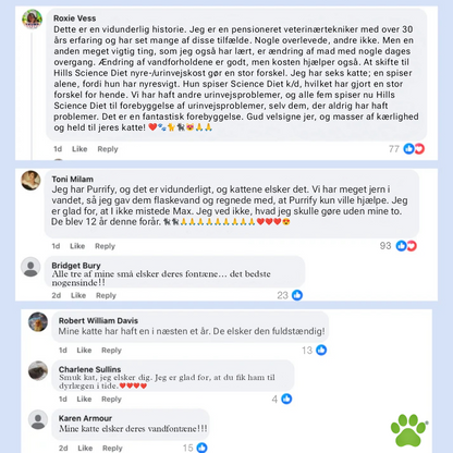 Poteify™ Drikkefontæne i rustfrit stål